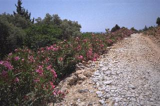 Track to Samaria