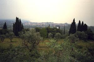 Bardolino area