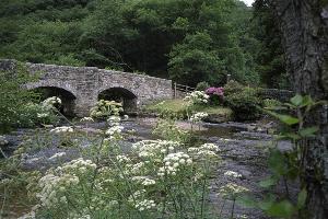 East Dart River