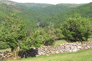 View towards Dartmeet